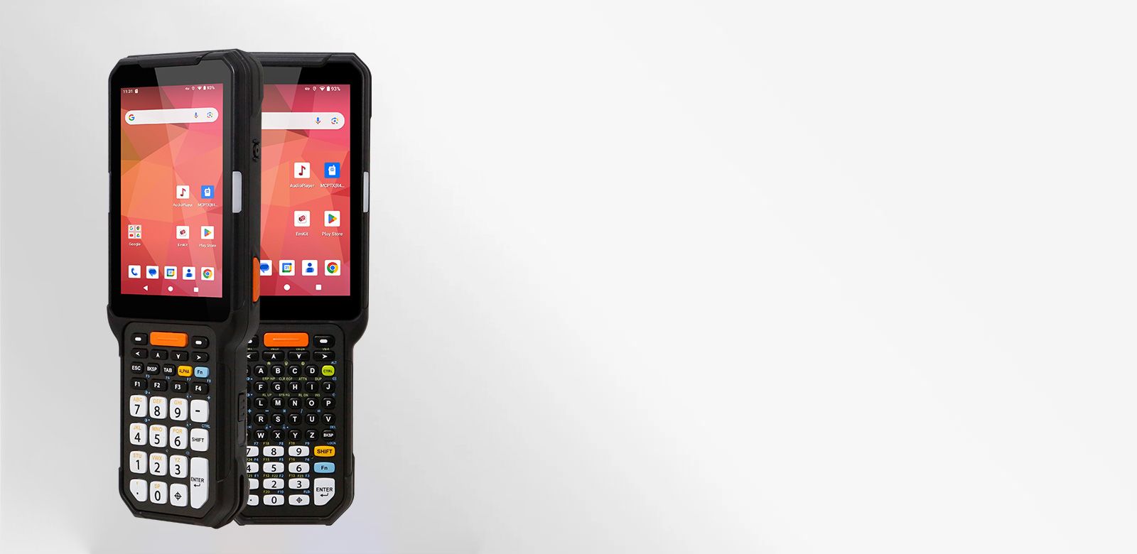 PM452 reading 1D and 2D codes