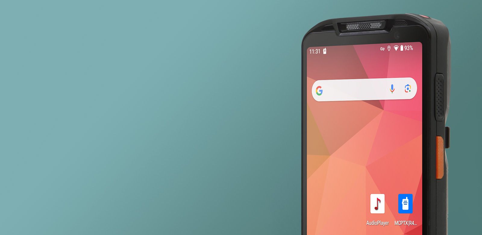 PM95 AutoID solutions